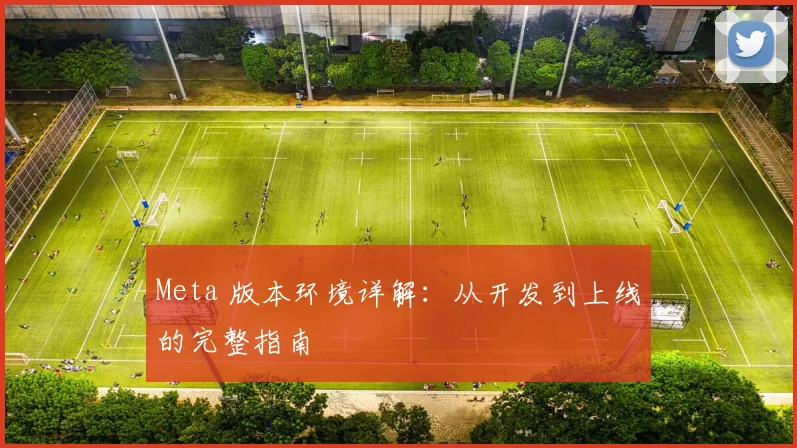 Meta 版本环境详解：从开发到上线的完整指南